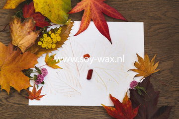 Designer & Nice Geuren Designer & Nice Geuren