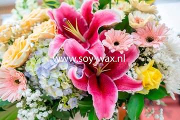 Bloemen Geuren Bloemen Geuren