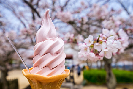 Cherry Blossom Niveau parfum geurolie