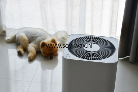 Away-Dog-Smell-parfum-geurolie-voor-Melts-Kaarsen