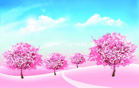 Cherry-Blossom-Magnolia-Parfum-geurolie-voor-Melts-,-Kaarsen-en-Zeep
