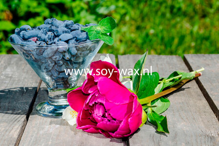 Zomerse Cocktail  parfum geurolie voor Melts &amp; Kaarsen