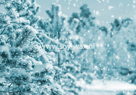 Snow-Covered-Pine-Tree-parfum-geurolie