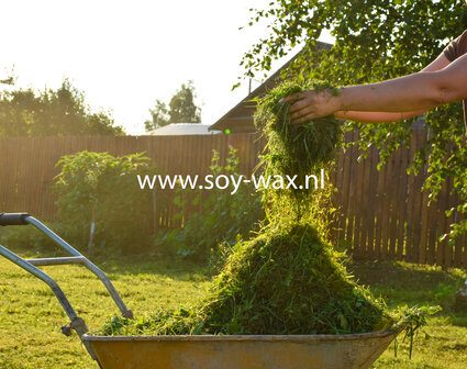 Fresh-Cut-Grass-voor-Melts-en-kaarsen