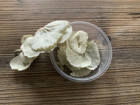 Hortensia blaadjes