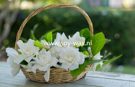 Gardenia parfum geurolie voor Kaarsen &amp; Melts