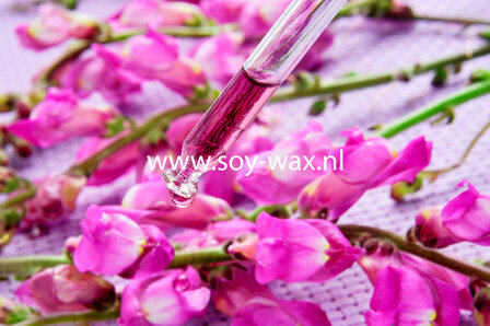 Hibiscus-love-parfum-geurolie-voor-Melts-Kaarsen