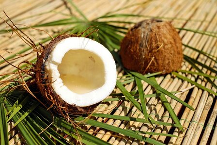 Lemon Grass &amp; Coconut parfum geurolie voor Kaarsen en Melts