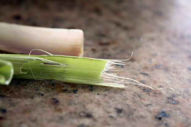 Lemongrass-geurolie-voor-Melts-en-Kaarsen