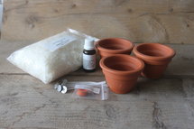 Startpakket voor Soy-wax Citronella Kaarsjes te maken