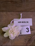 Diffuser Flowers
