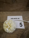 Diffuser Flowers