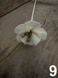 Diffuser Flowers