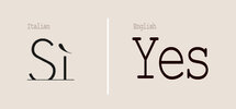 Rode Yes & Si parfum geurolie voor Melts ,Kaarsen en u eigen creaties