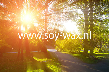 Sun Fruit parfum geurolie