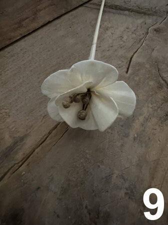Diffuser Flowers
