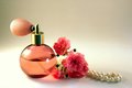 Poisson & DieJoor Girls parfum geurolie voor melts & Kaarsen