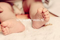 Baby's Little Moment parfum geurolie voor Kaarsen & Melts