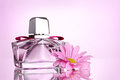 Timeless parfum geurolie voor Kaarsen & Melts