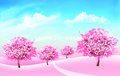 Cherry Blossom & Magnolia  Parfum geurolie voor Melts & Kaarsen 