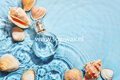 Marine Parfum Geurolie voor Melts & Kaarsen