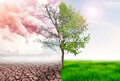  Garden Of Love  parfum geurolie voor Melts en Kaarsen