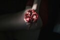 Pomegranate Noir parfum geurolie voor u eigen creaties 