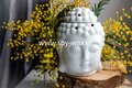 Aanbieding Een Mimosa Moment parfum geurolie voor Melts & Kaarsen