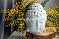 Aanbieding Mimosa parfum geurolie voor Melts en Kaarsen