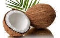 Cocos parfum geurolie voor Melts & Kaarsen