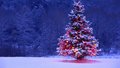 Christmastree parfum geurolie voor Melts en Kaarsen