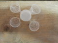 Cups voor Wax Melts in te gieten ±10 gram inhoud met vaste deksel