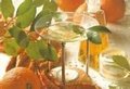 Citrus & Rozenhout Duo parfum geurolie voor Melts en Kaarsen